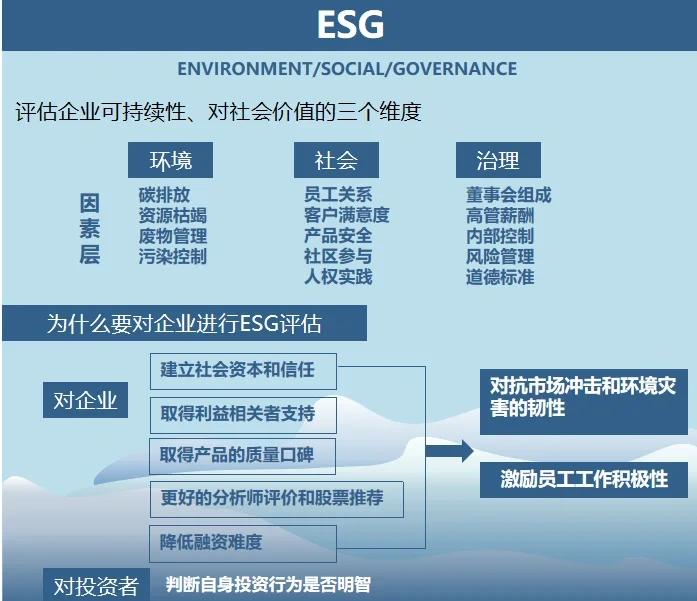 双碳战略咨询服务(双碳战略是什么意思)来宾市